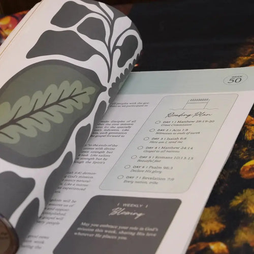 The Bible In A Year, 365 day bible reading.