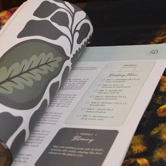 The Bible In A Year, 365 day bible reading.